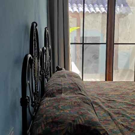 La Ballena Gris Apartman