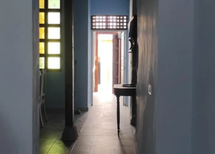 La Ballena Gris * Los Silos