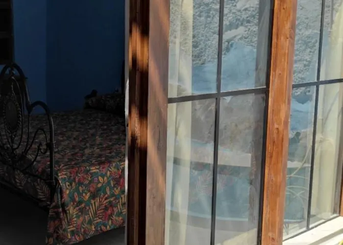 La Ballena Gris * לוס סילוס